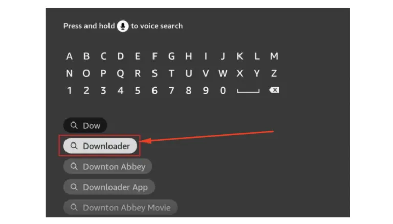 Type Downloader App on FireStick